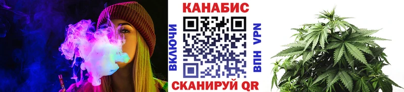 Конопля индика  наркота  Бабушкин 